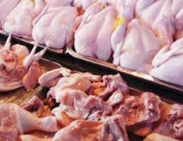 Nhà cung cấp - Cửa hàng bán buôn sỉ lẻ thịt gia cầm gà vịt tươi, đông lạnh giá rẻ tại TPHCM