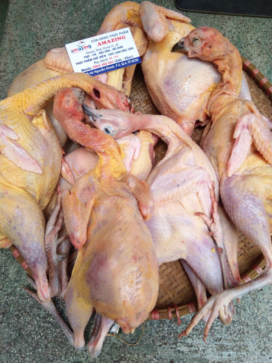 Giá chim trĩ đỏ thịt làm sẵn rẻ nhất TPHCM hiện nay _ 250,000đ/kg