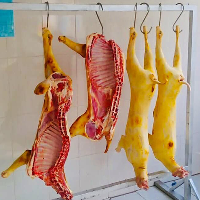 Mua bán, cung cấp thịt dê tươi nguyên con giá rẻ tại TPHCM │Giá 270K/KG