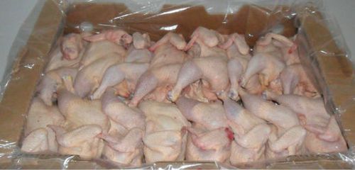 Nhà cung cấp - Cửa hàng bán buôn sỉ lẻ thịt gia cầm gà vịt tươi, đông lạnh giá rẻ tại TPHCM