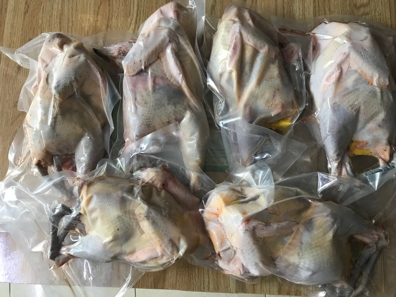 sell fresh pheasant in Ho Chi minh, vietnam